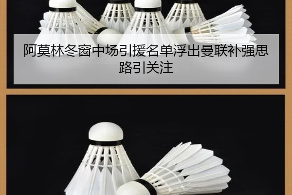 阿莫林冬窗中场引援名单浮出曼联补强思路引关注 - MilanSportsAPP